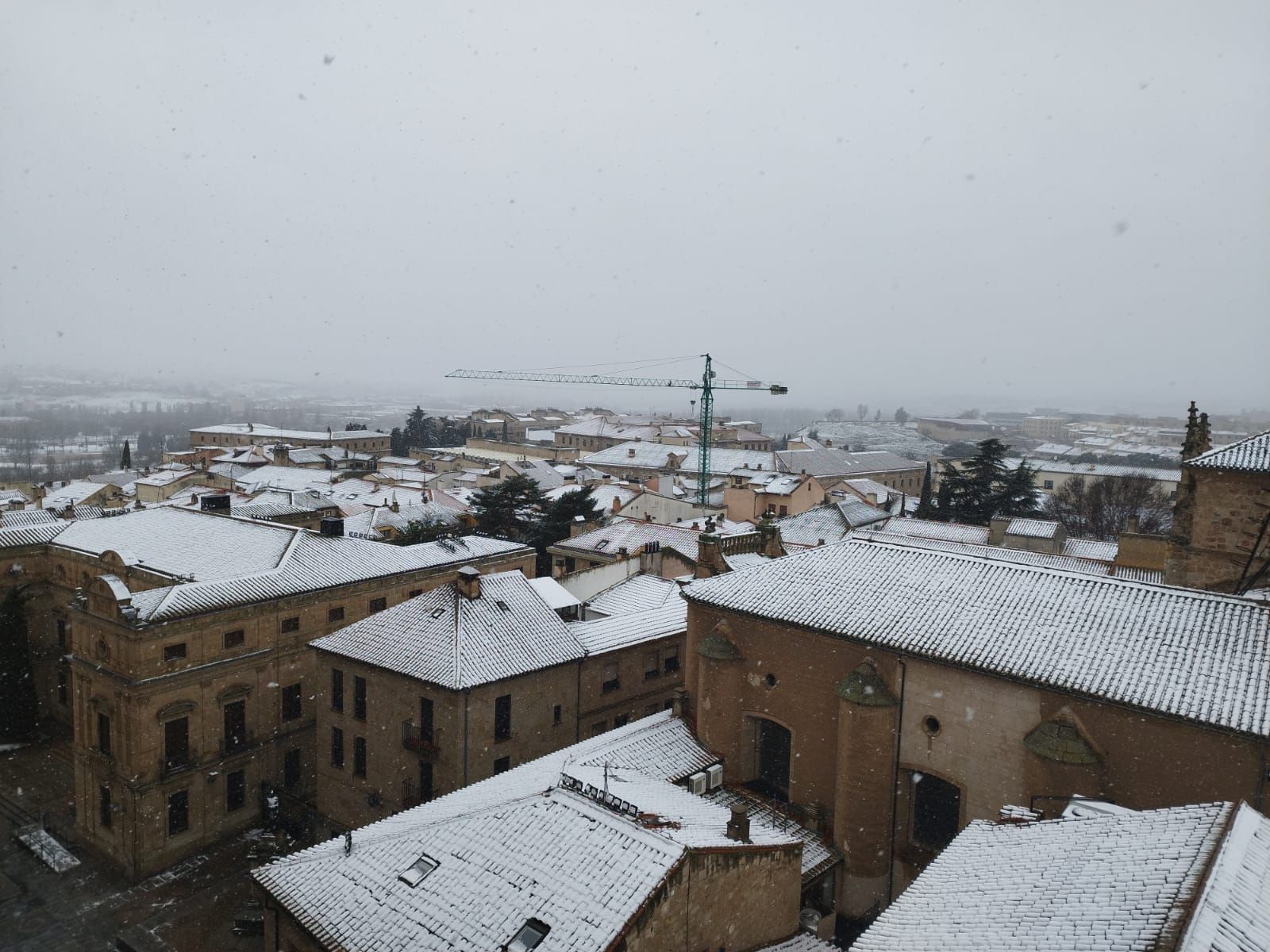 nieve-en-la-zona-de-la-catedral-jueves-23-de-febrero-4