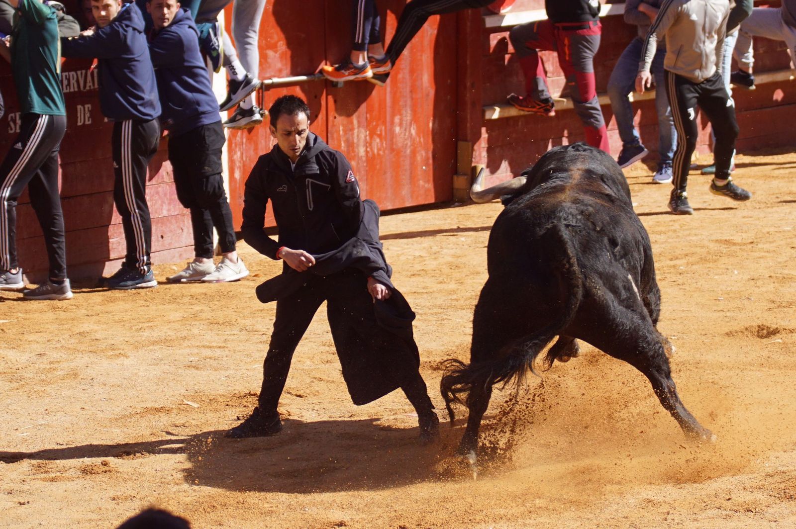 encierro-capea-y-ambiente-en-ciudad-rodrigo-en-este-lunes-de-carnaval-4
