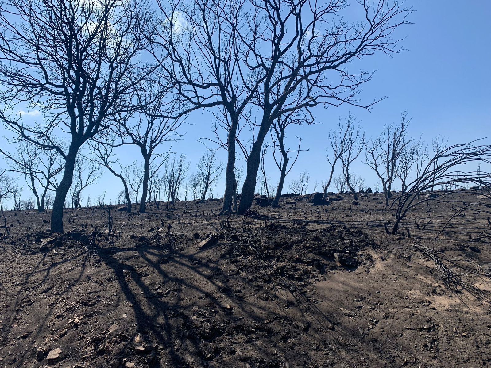 tras-el-horror-la-deslacion-en-zamora-foto-rafael-lorenzo-48