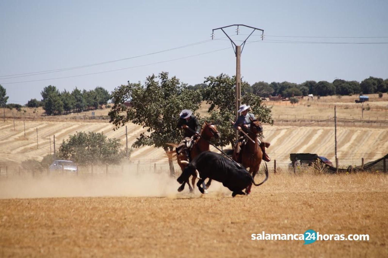 Acoso y Derribo (89)