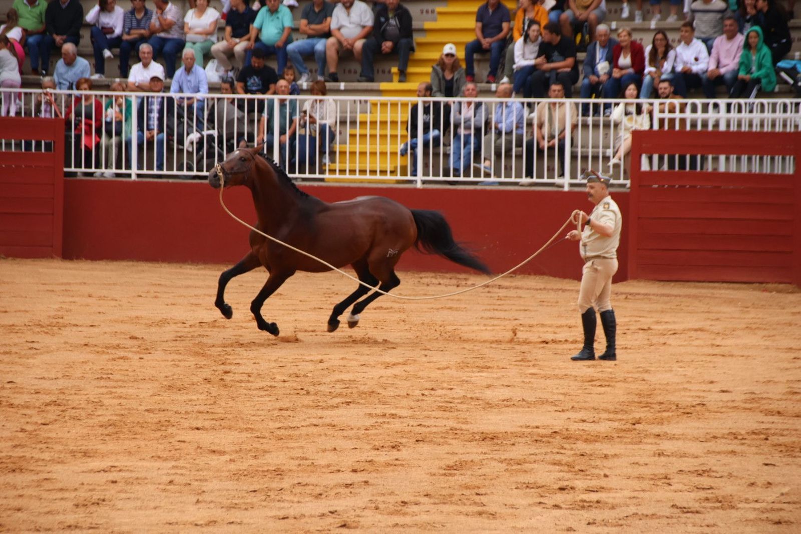 20230902111744-img-7072