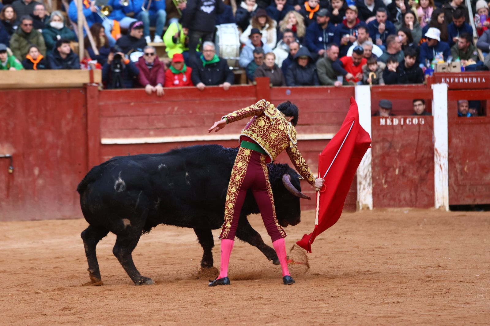 Novillada con picadores de lunes en el Carnaval del Toro de Ciudad Rodrigo 2026