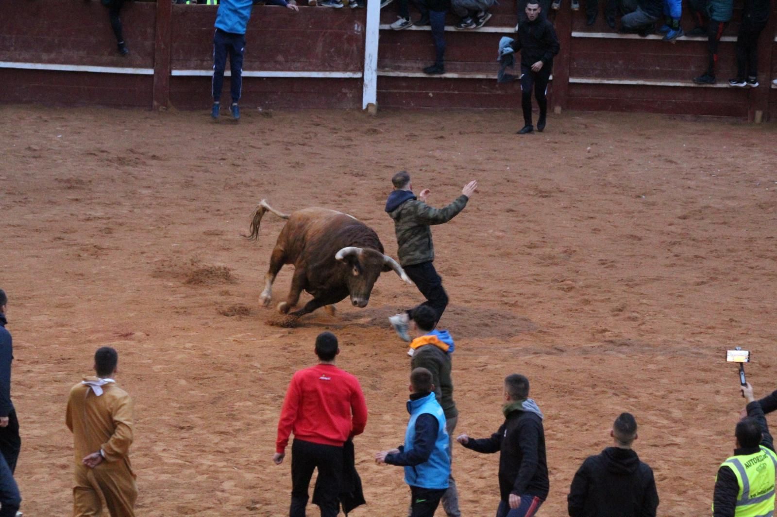 ambiente-y-capea-vespertina-sabado-de-carnaval-en-ciudad-rodrigo-2025-fotos-belen-hurtado-62
