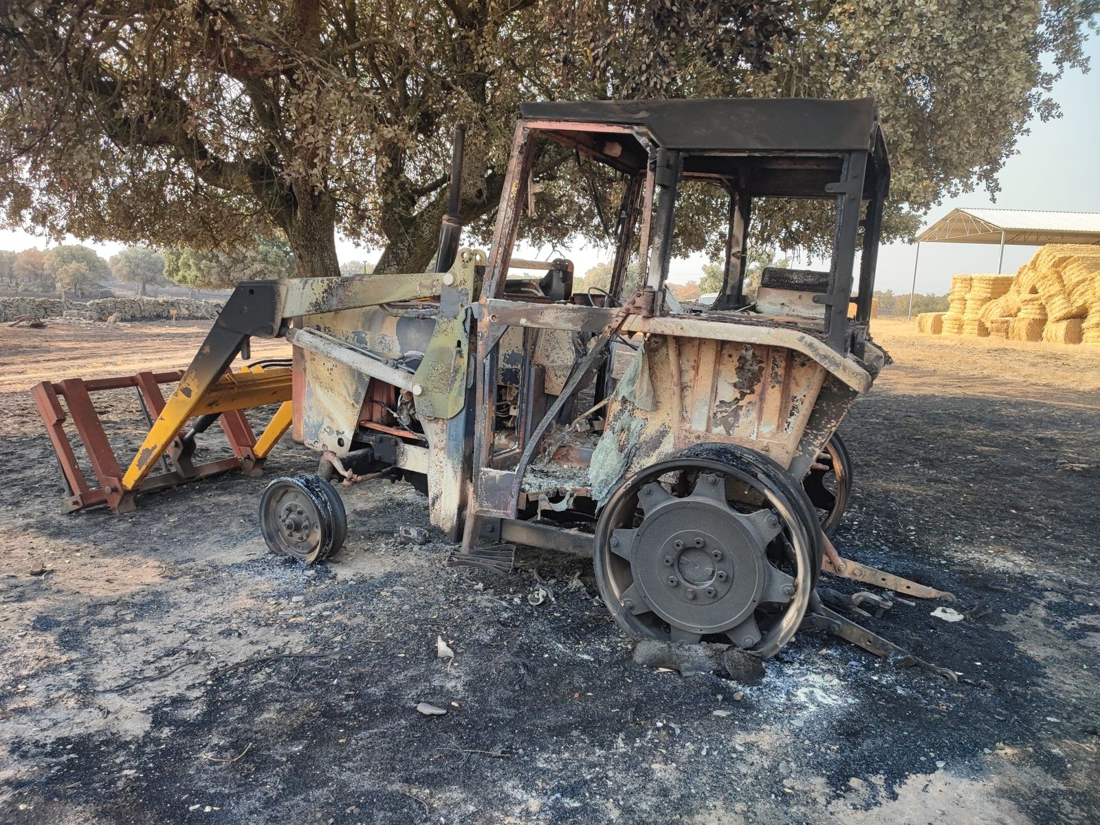 El Groo quemado tras el incendio de Cipérez (1).jpg