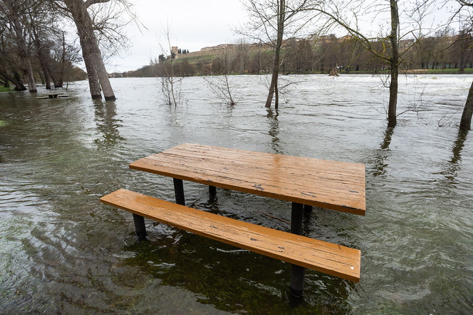Vicente / ICAL . Crecida del río Águeda a su paso por Ciudad Rodrigo (Salamanca)