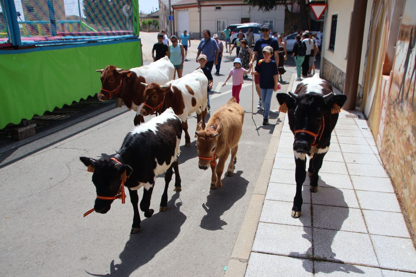 Castellanos de Villiquera, encierro infantil