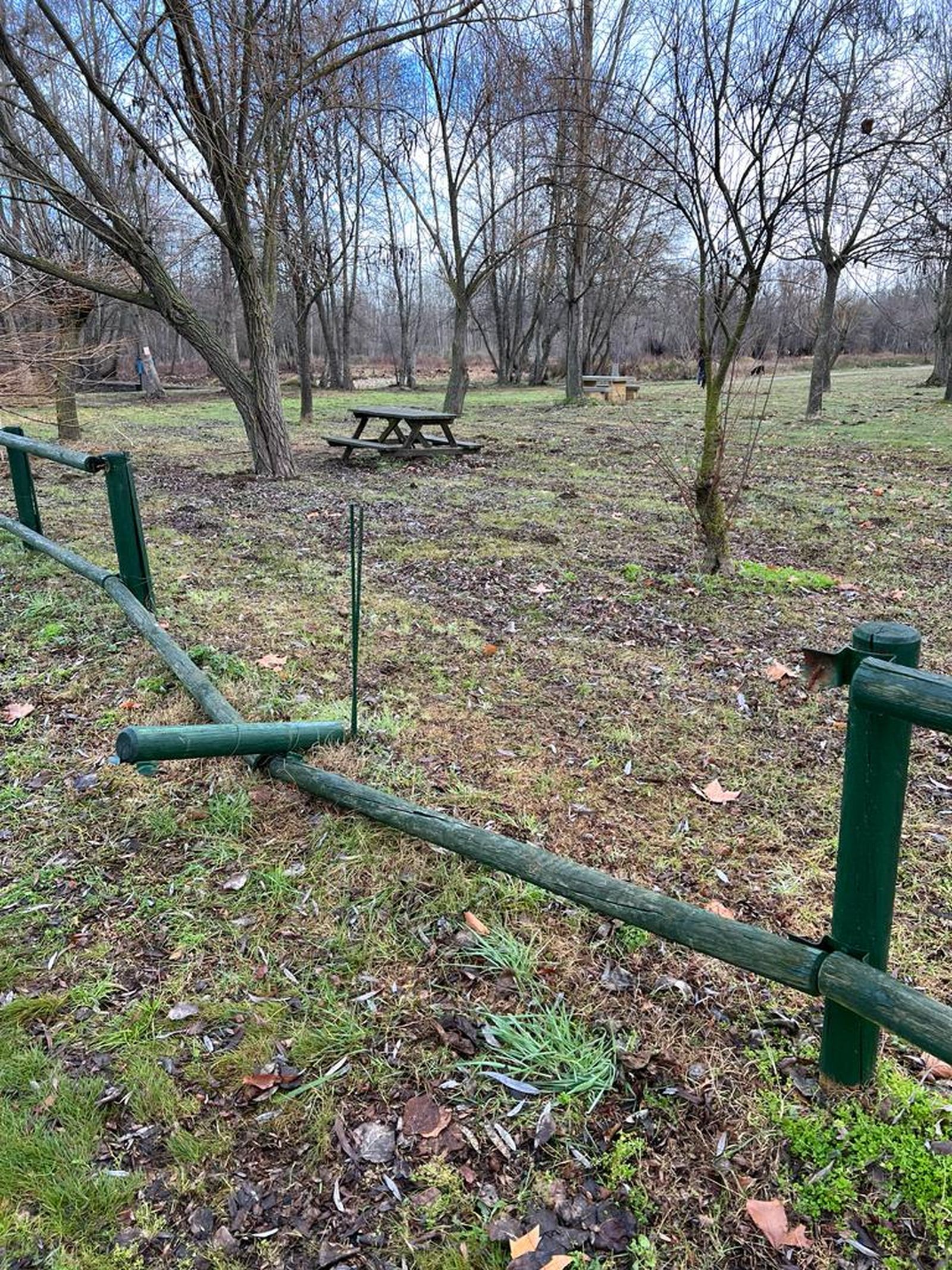 whatsapp-image-2024-01-04-at-13-16-44-3