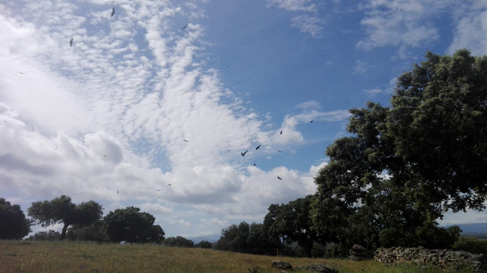 WhatsApp Image 2018 06 07 at 12.27.07