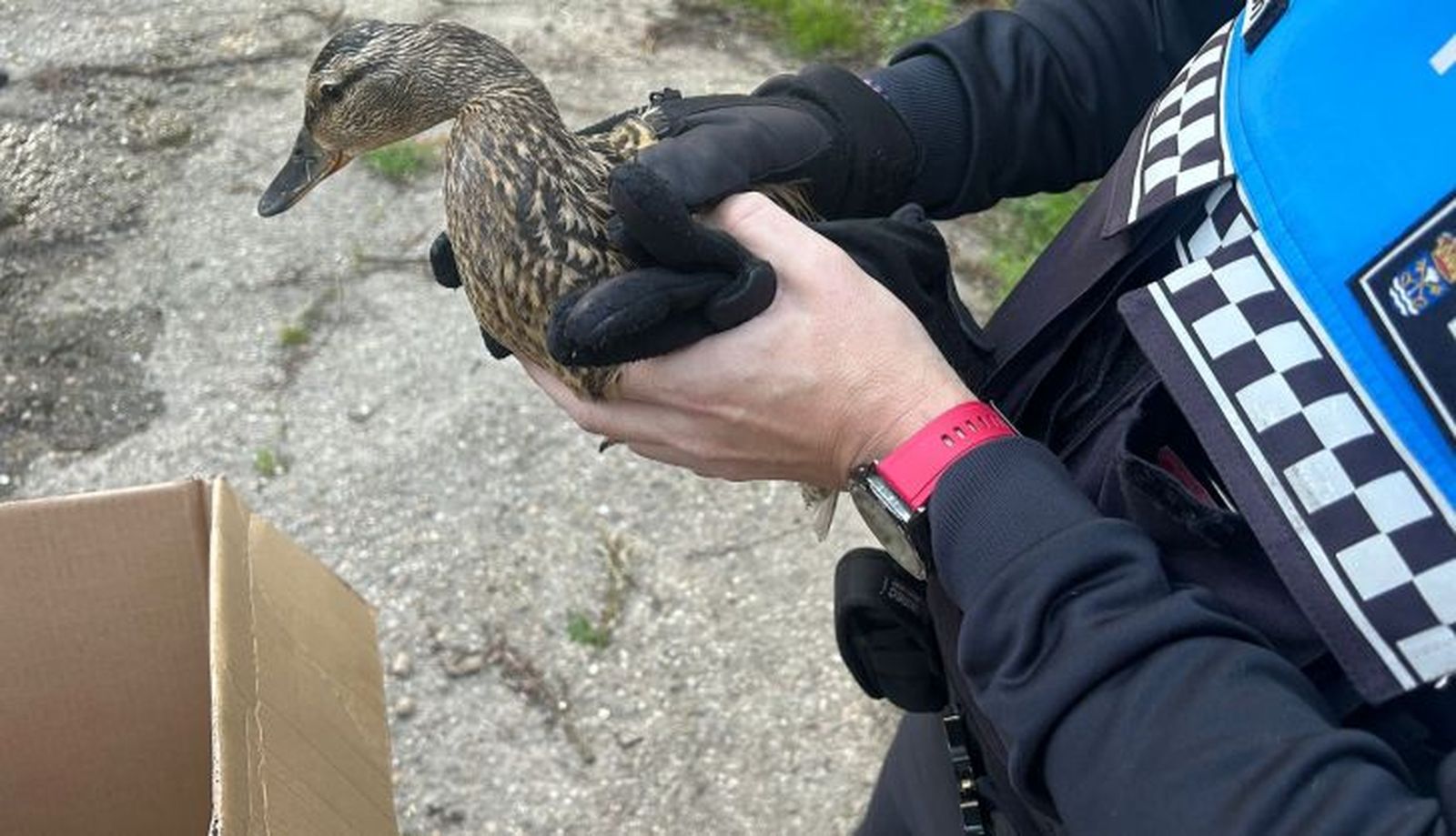 WhatsApp Image 2025 05 19 at 14.40.32 (1)