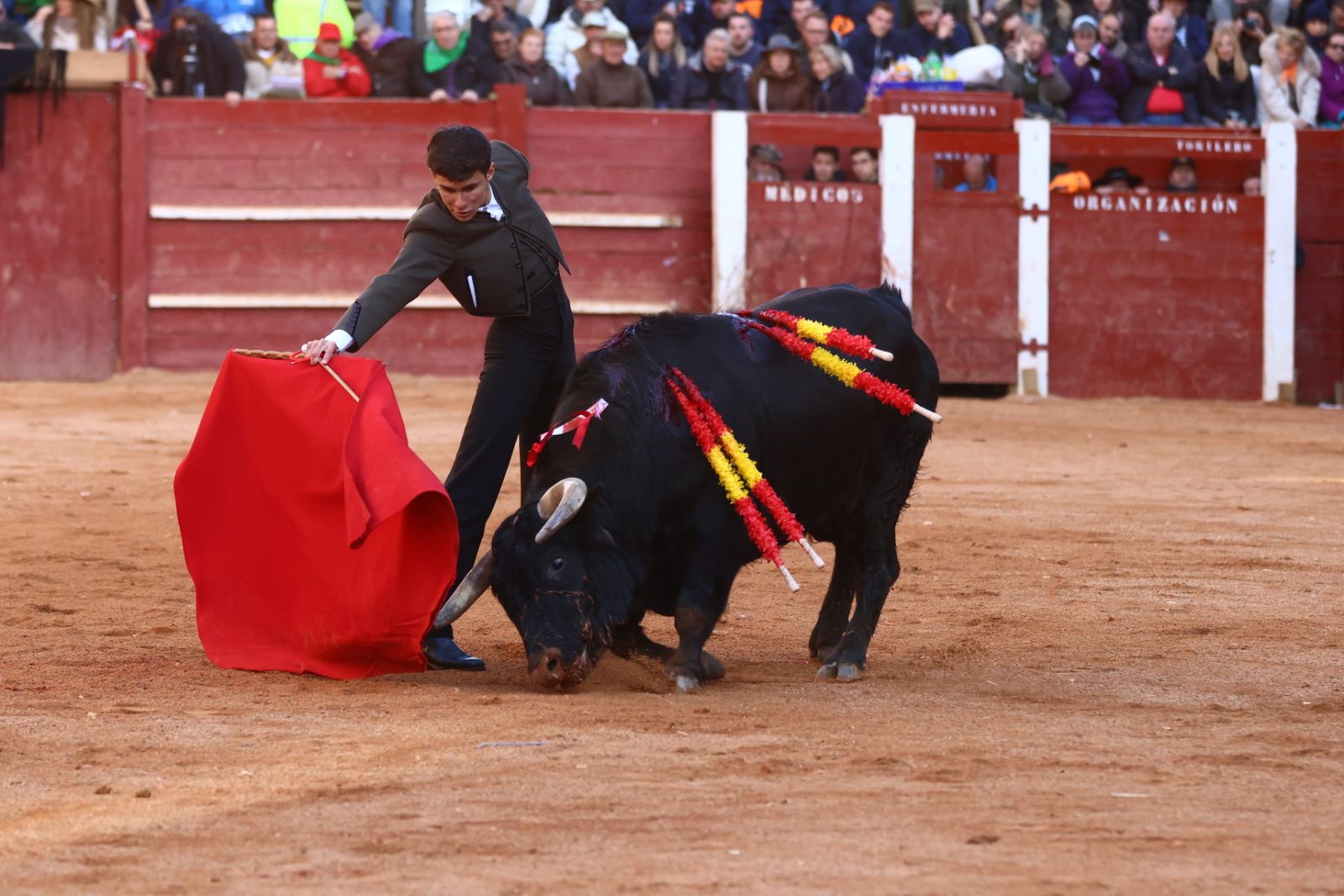 Festival del martes en el Carnaval del Toro 2026