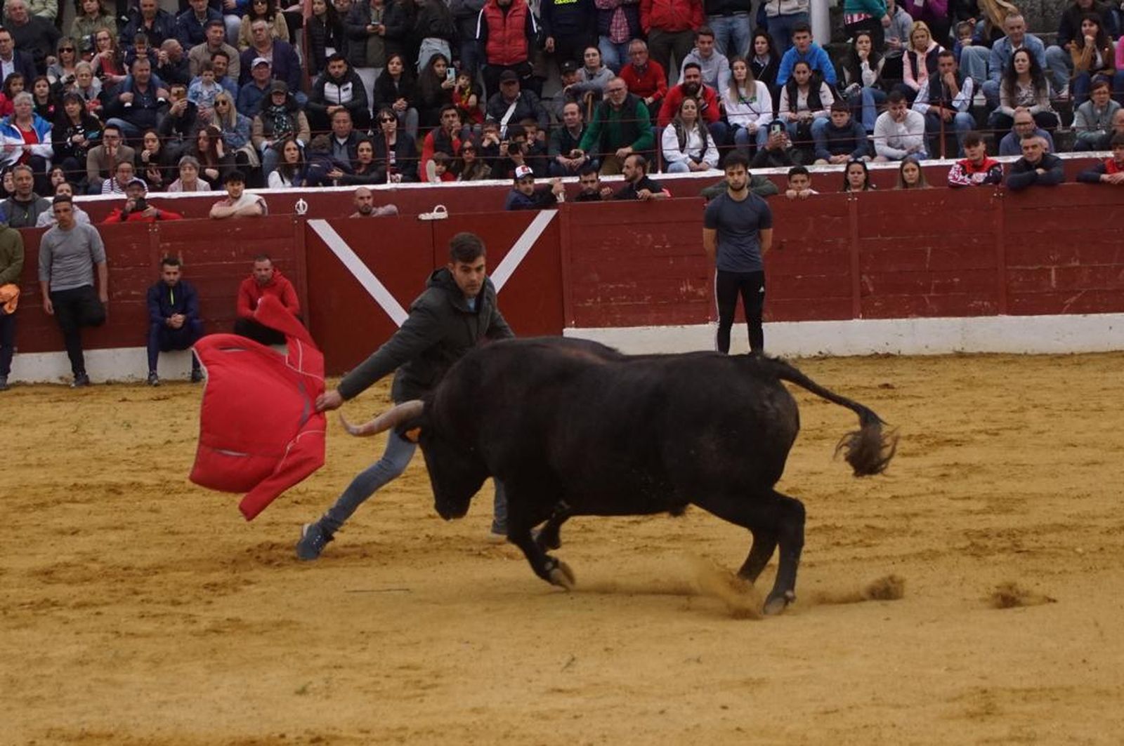 ambiente-y-participacion-durante-el-toro-del-voto-en-villoria-suelta-de-dos-toros-del-cajon-foto-juanes-74