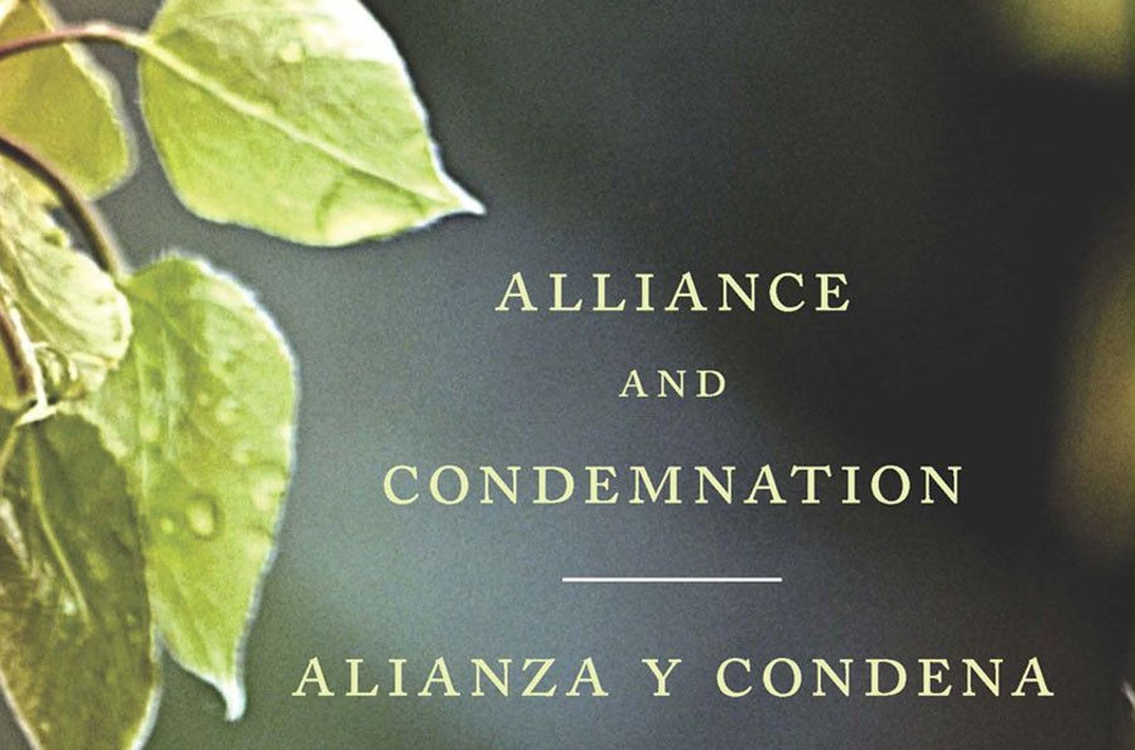 Portada de Aliance and Condemnation