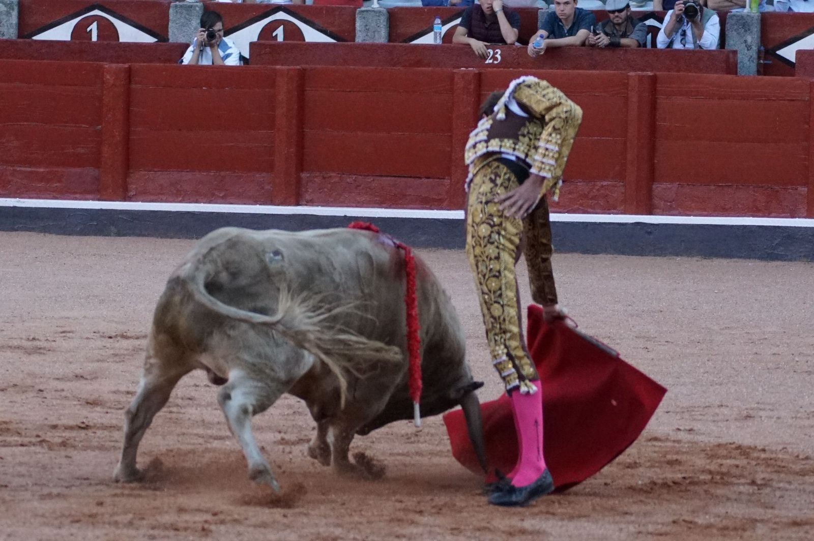 Clase práctica con alumnos de la Escuela de Tauromaquia de Salamanca (Diego Mateos, Noel García y Álvaro Rojo con erales de Esteban Isidro)