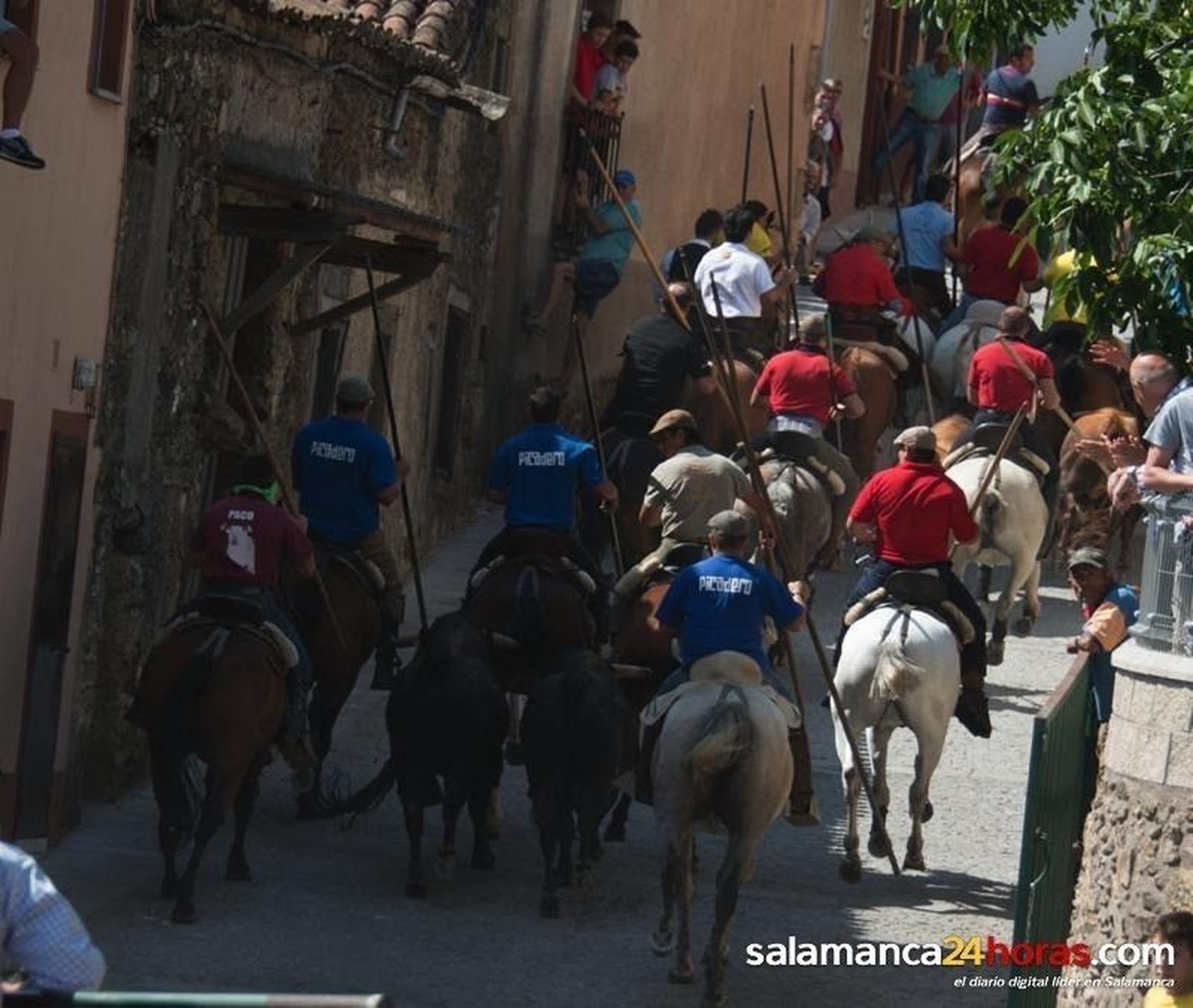 Fiestas en Fuenteguinaldo: encierro
