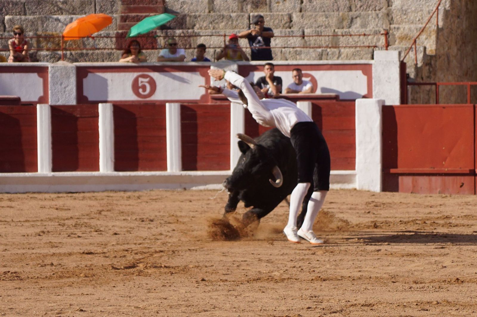 whatsapp-image-2023-07-02-at-22-40-30-1