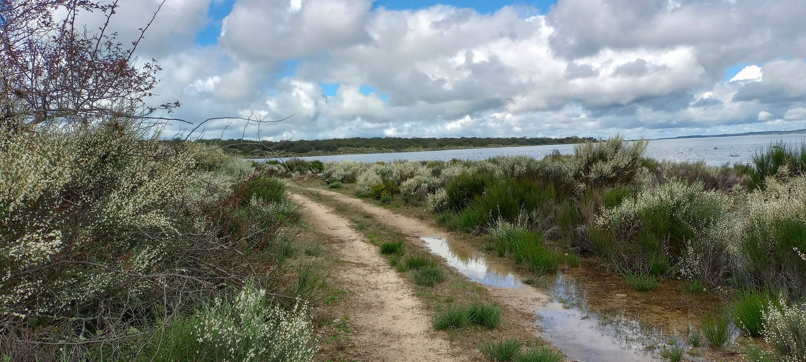 Sardón caminos anegados por el agua debido al crecimiento del pantano