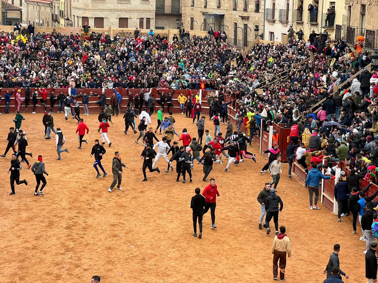 Encierro del sábado de Carnaval en Ciudad Rodrigo (2)