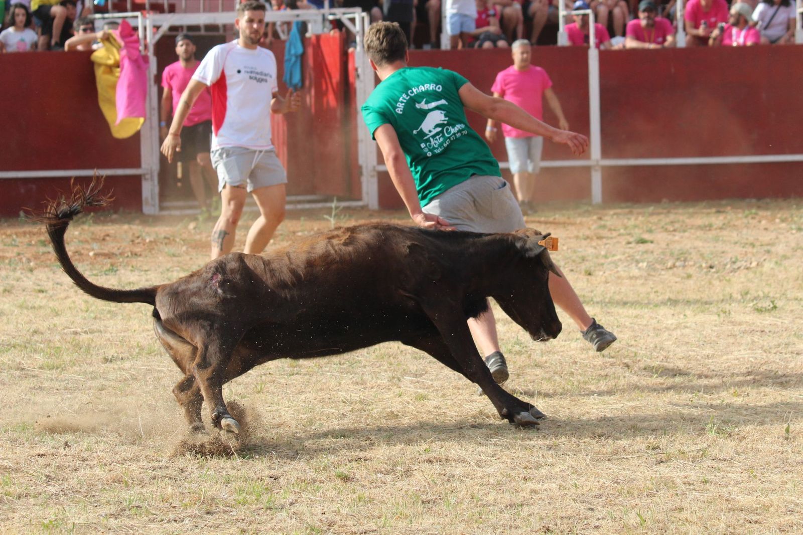 img-2193