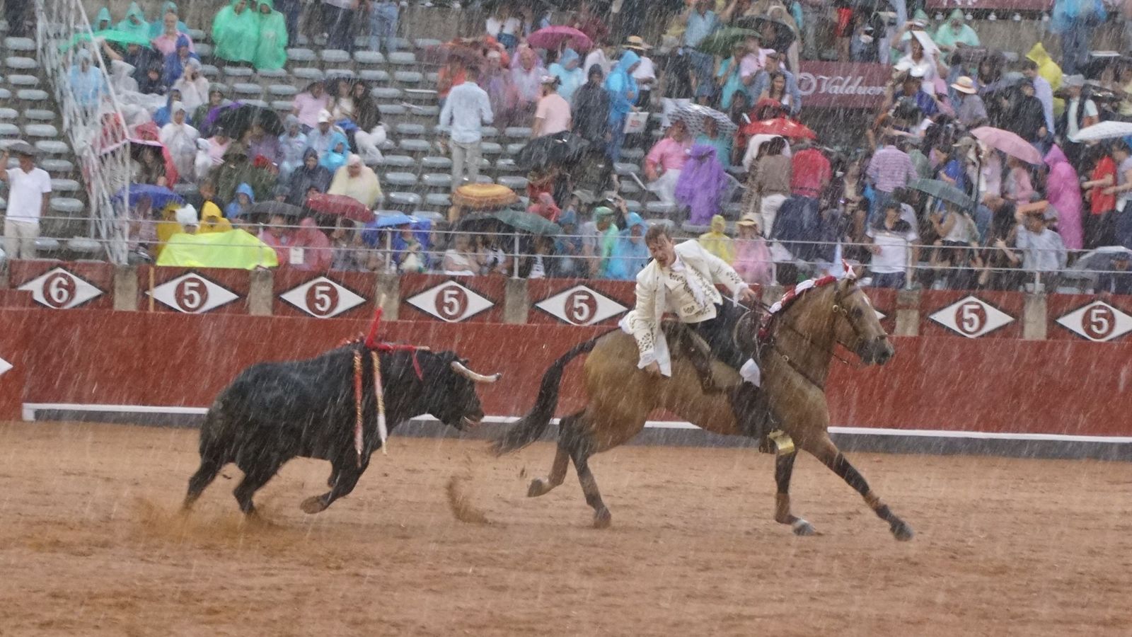  Rui Fernandes bajo la lluvia en el cuarto toro de la tarde
