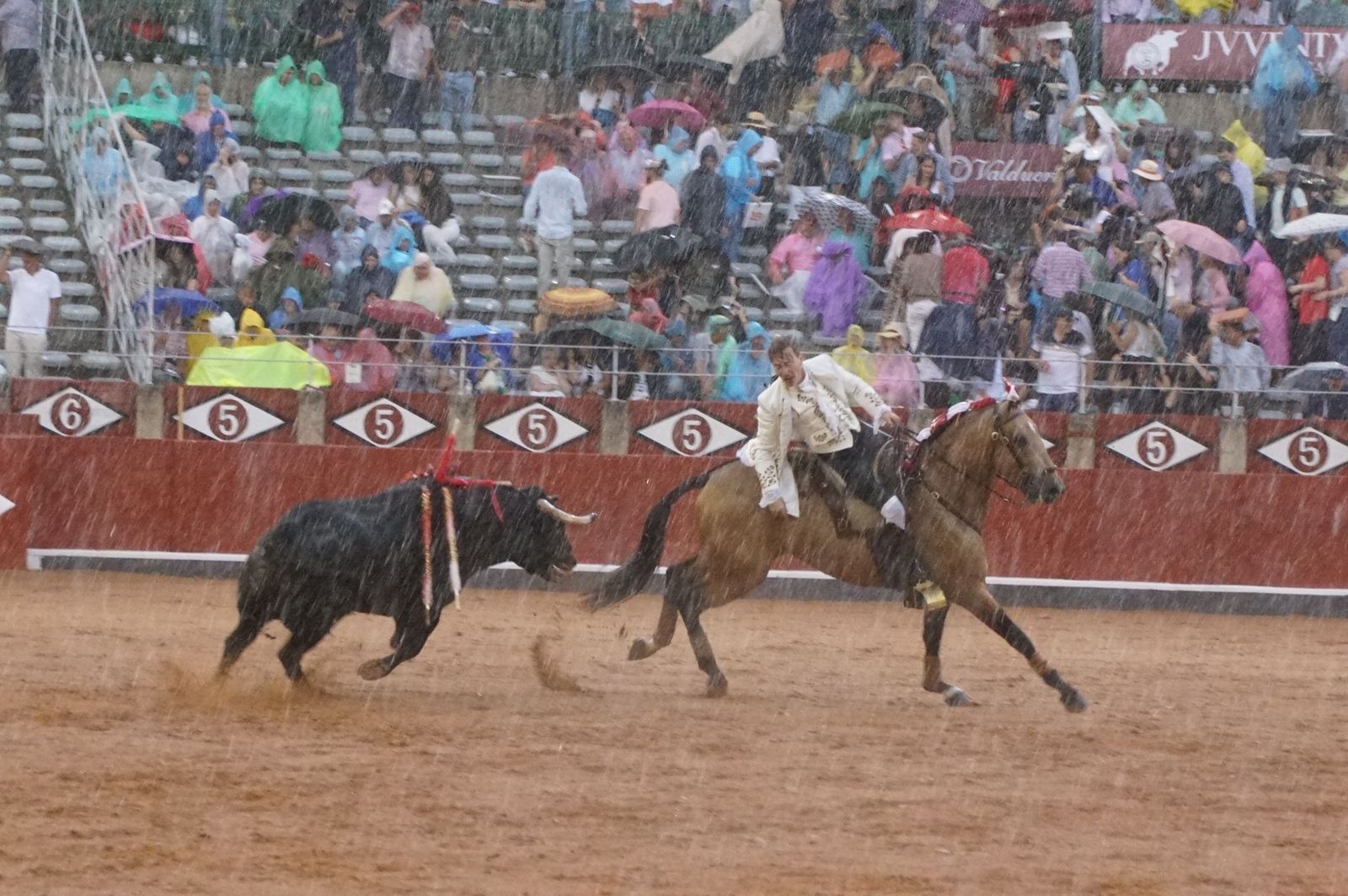 Exhibición de rejoneo en La Glorieta a cargo de Diego Ventura, Rui Fernandes y Sergio Galán
