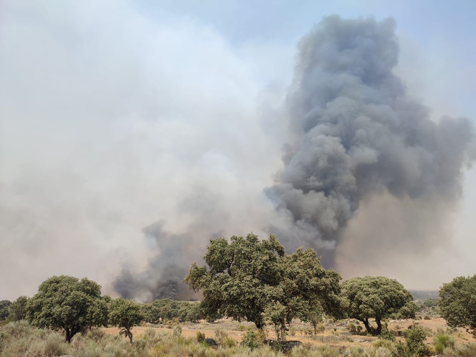Incendio Forestal en Roelos de Sayago. Foto: Infocyl