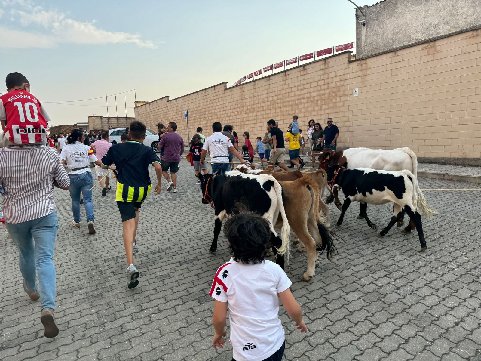 Encierro infantil de Mini Bueyes en Guijuelo durante sus fiestas 2025
