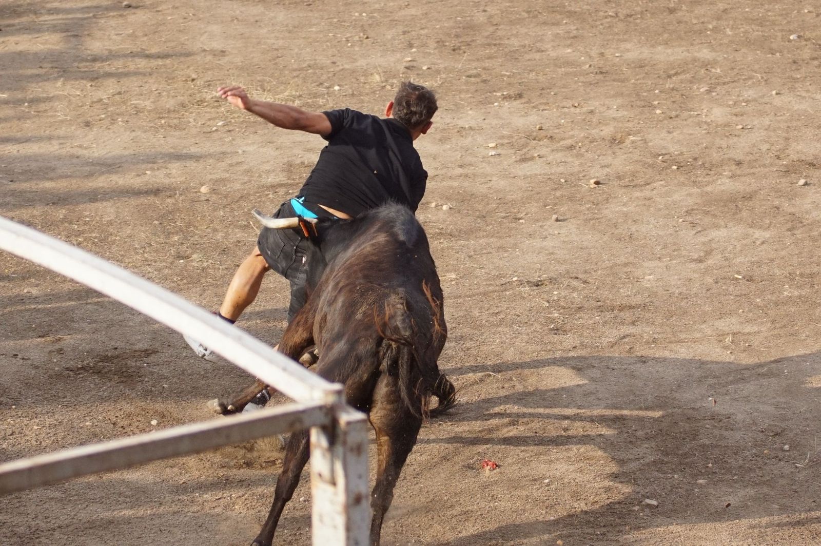 WhatsApp Image 2025-08-01 at 21.51.34 (2).jpeg