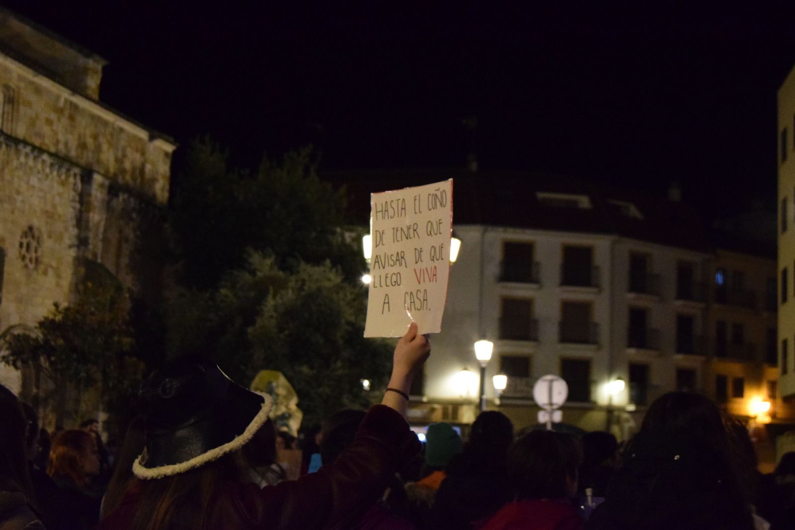 manifestacion-por-el-8m-en-zamora-48