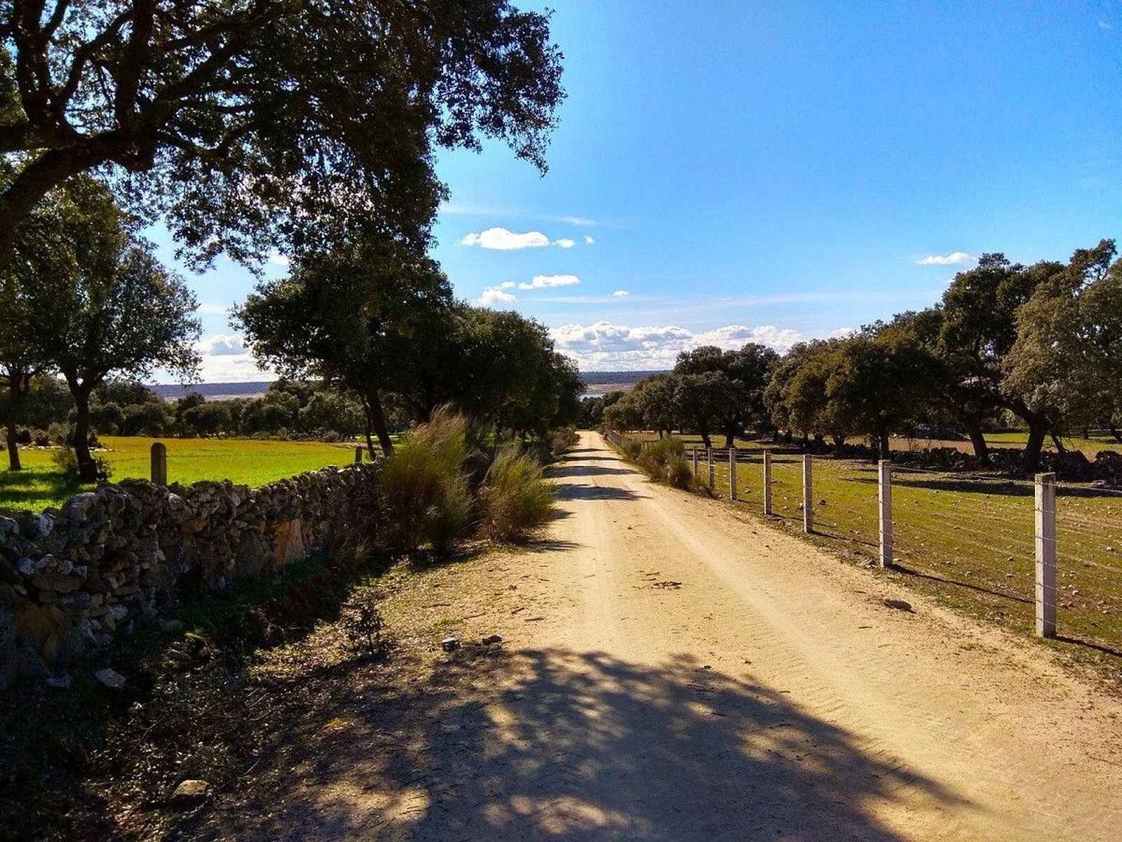 SARDON DE LOS FRAILES