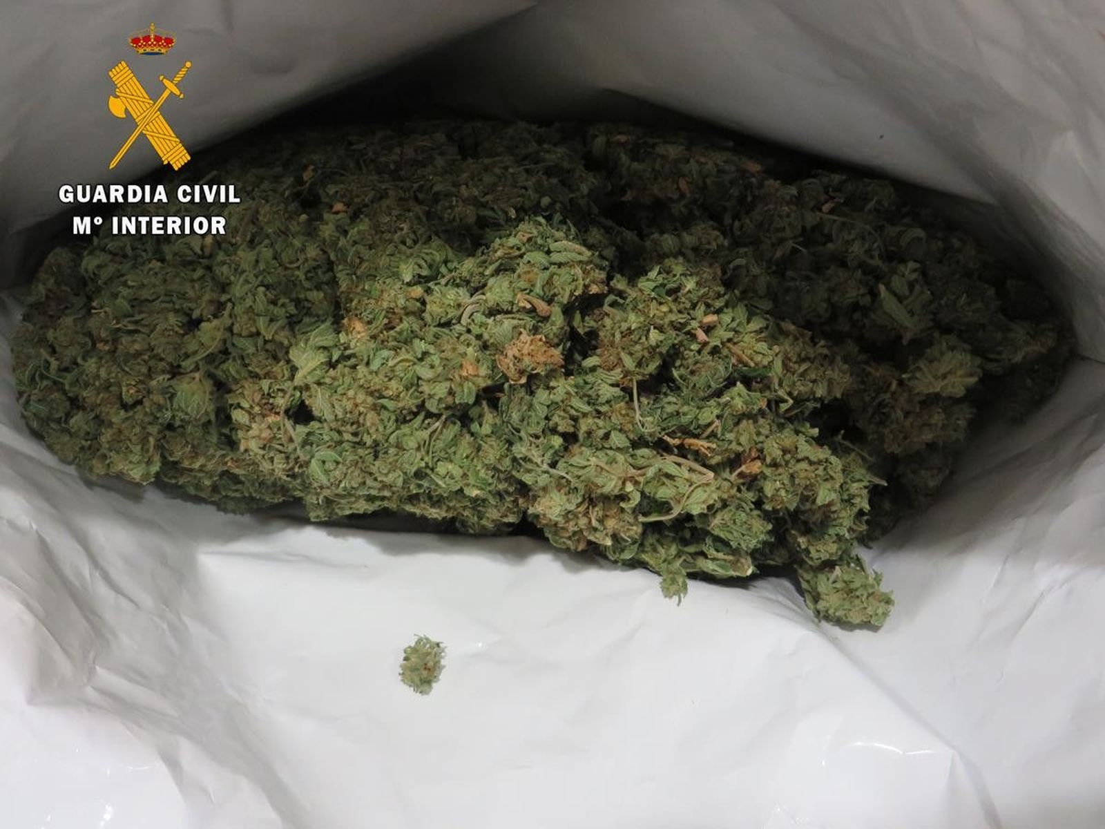 22 11 2019 Droga 2 (Copy)