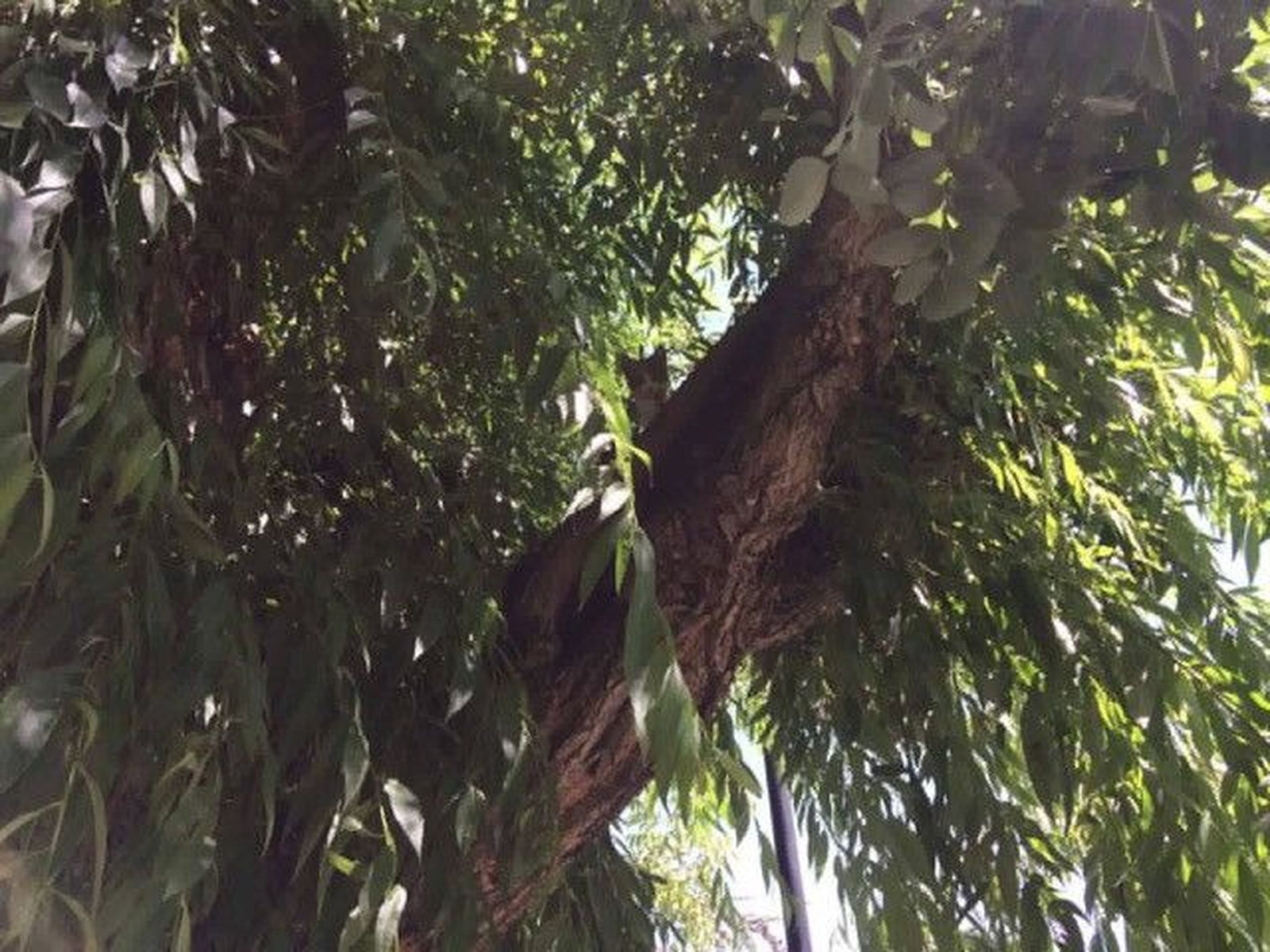 F607EF3A 0244 4A4D A4AF 9BD313E43CBD