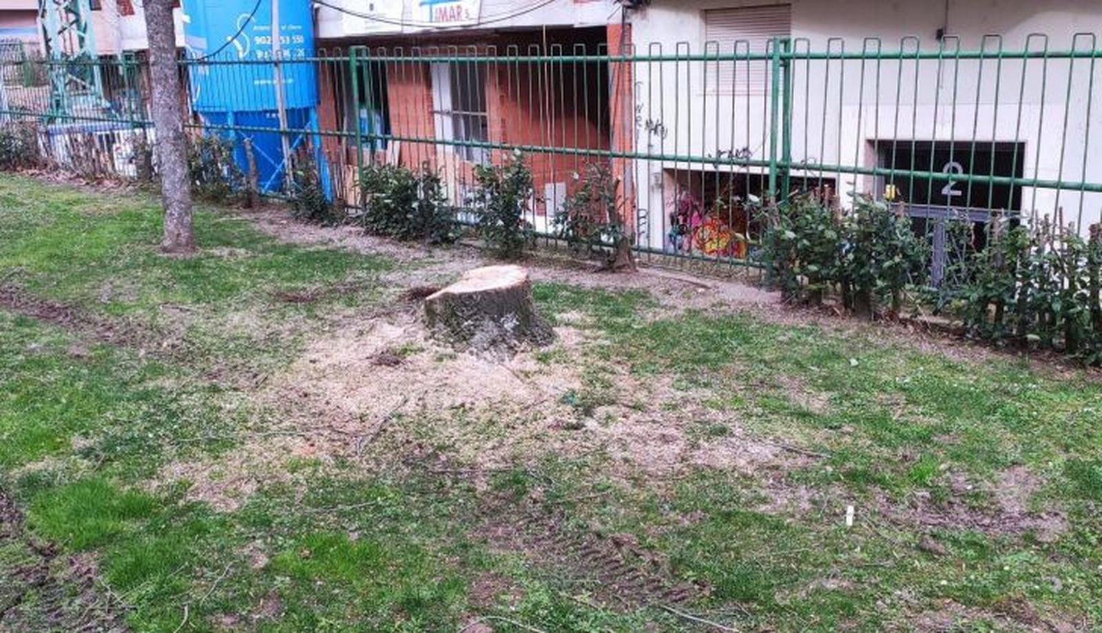 Recinto donde se encontraban los árboles