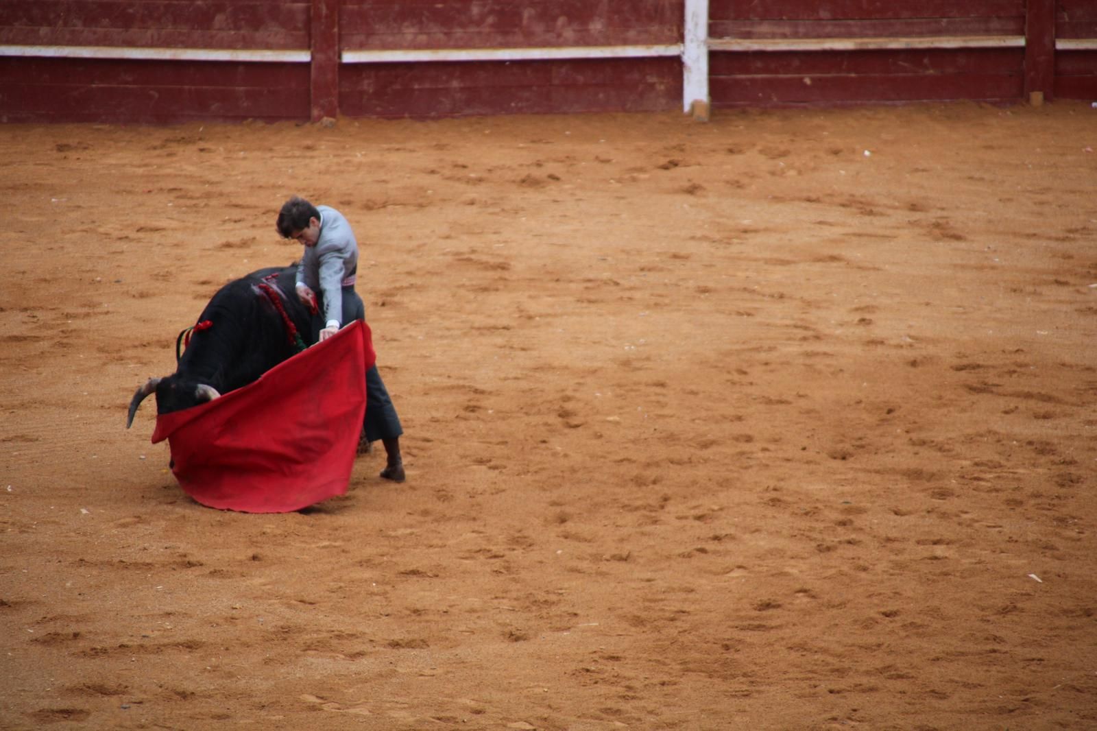 whatsapp-image-2025-03-02-at-18-54-20-2