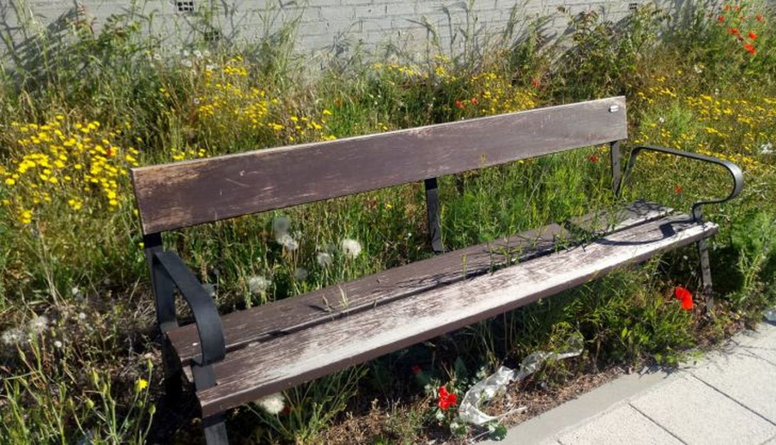 WhatsApp Image 2023 04 19 at 13.33.31 (1)