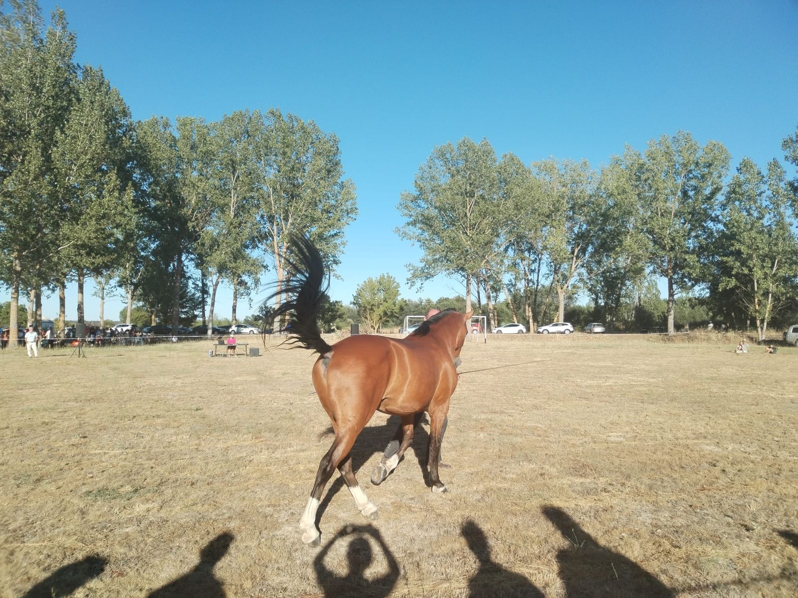 exhibicion-ecuestre-en-san-pedro-de-zamudia-15