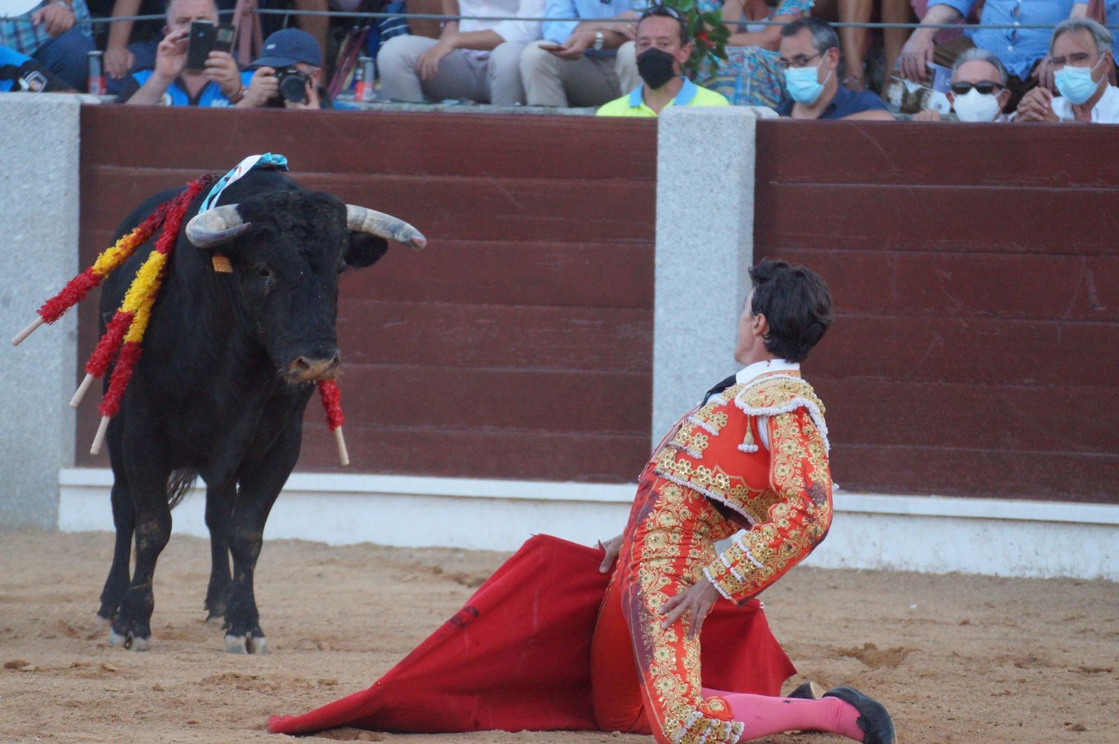 toros-en-guijuelo-15-de-agosto-44