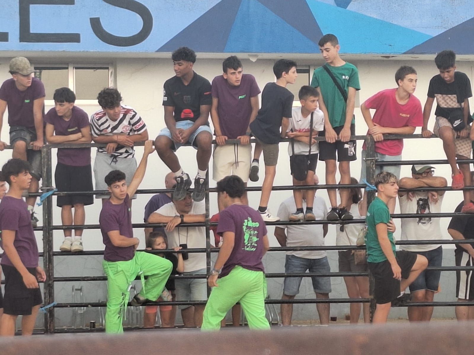 Cientos de personas disfrutan de las vaquillas de Valdelosa