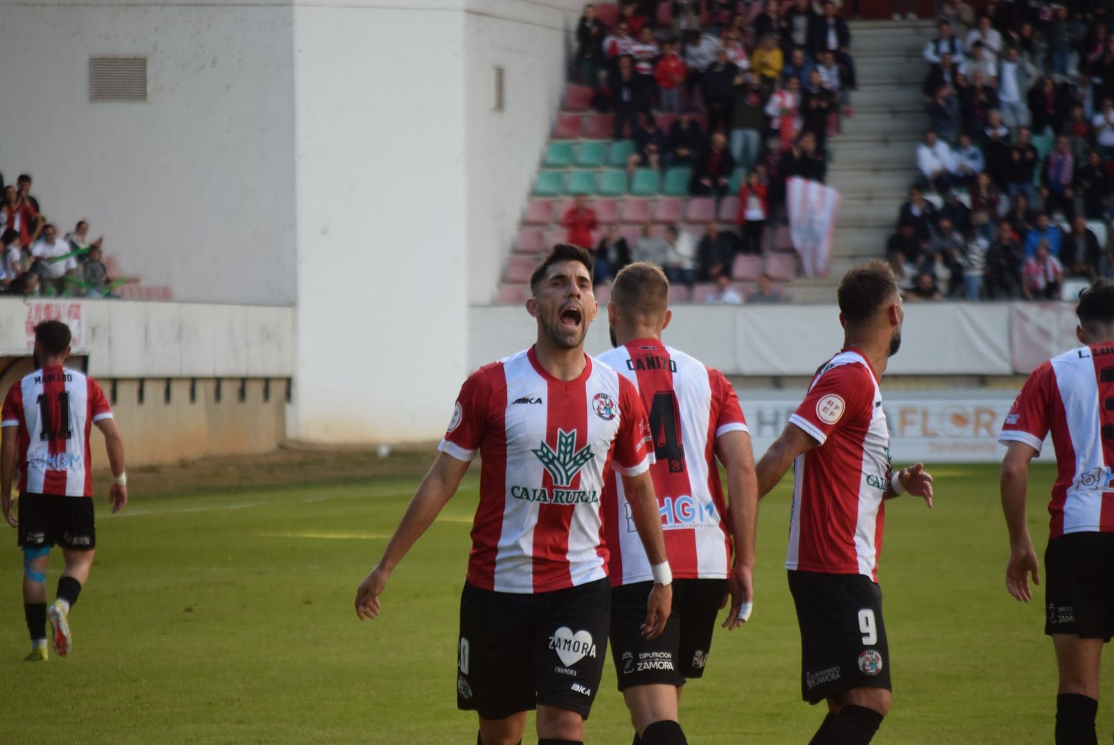 Zamora CF - Sant Andreu