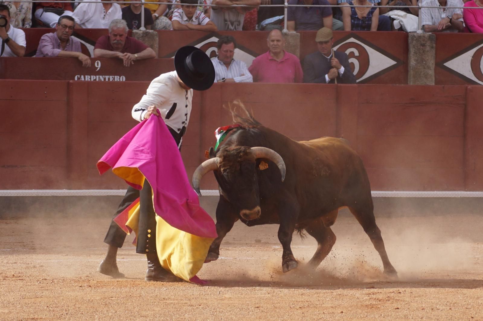 whatsapp-image-2025-06-12-at-21-25-03-1