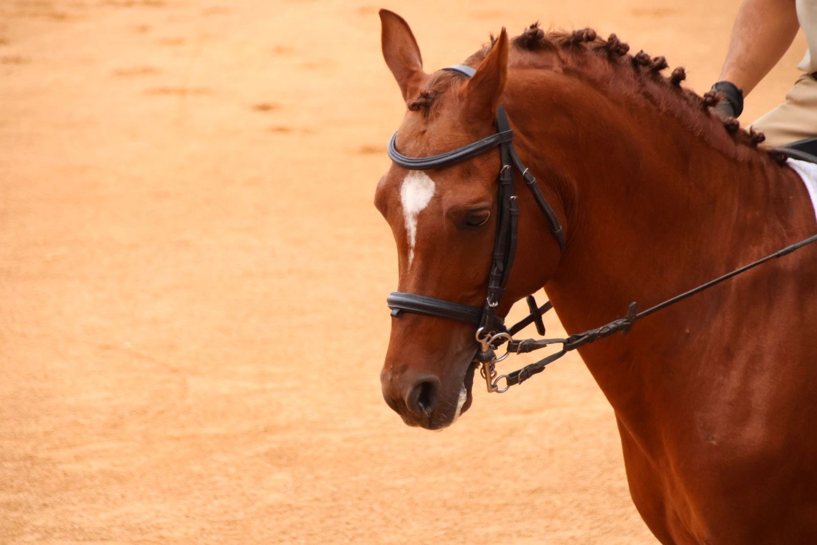 20230902110827-img-7028