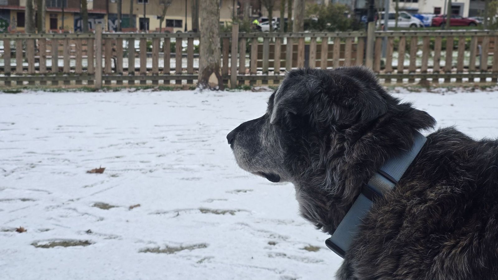 Nieve en Salamanca capital