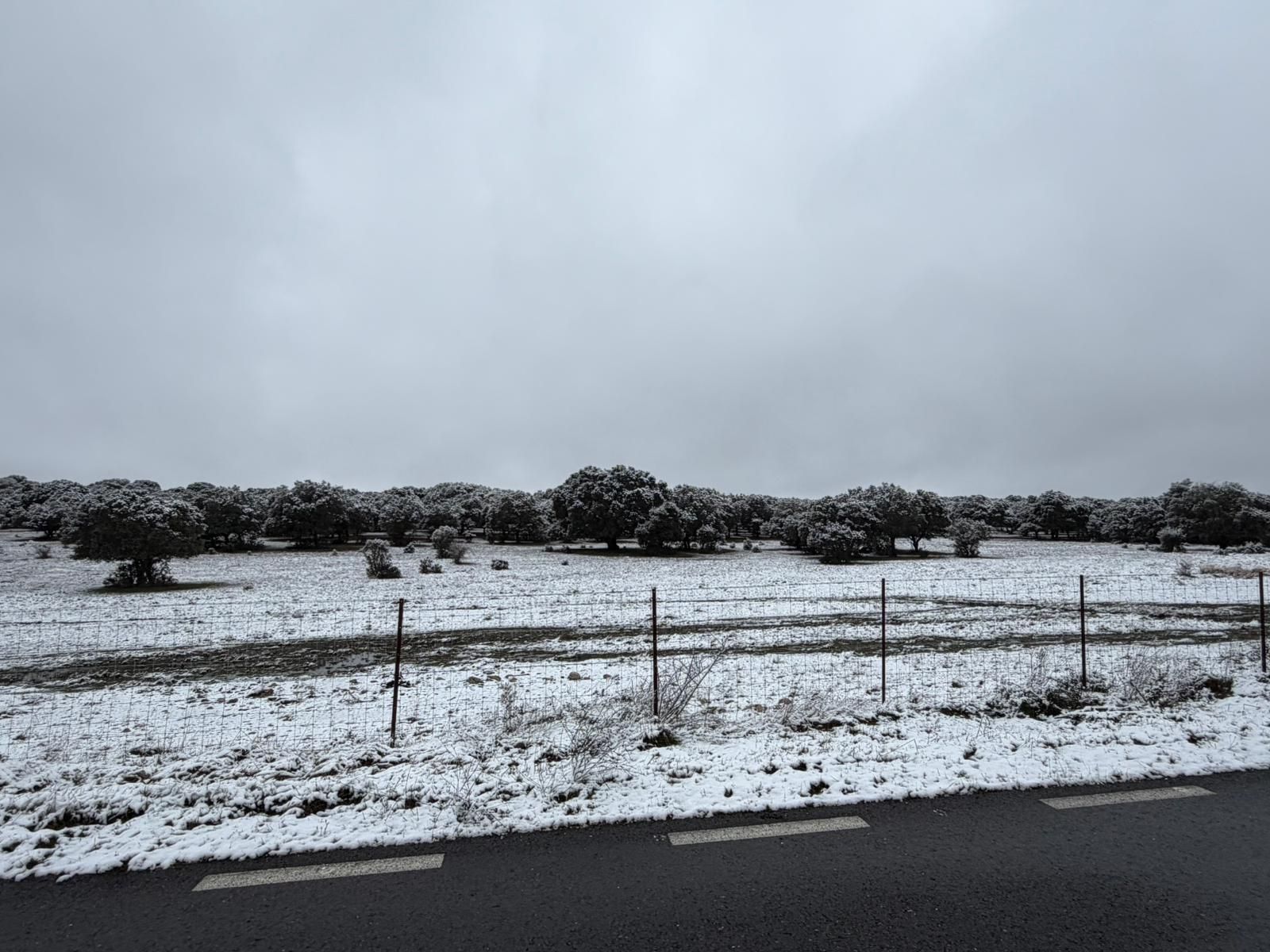 Nieve en Cuatro Calzadas, Pereña y Guijuelo este sábado