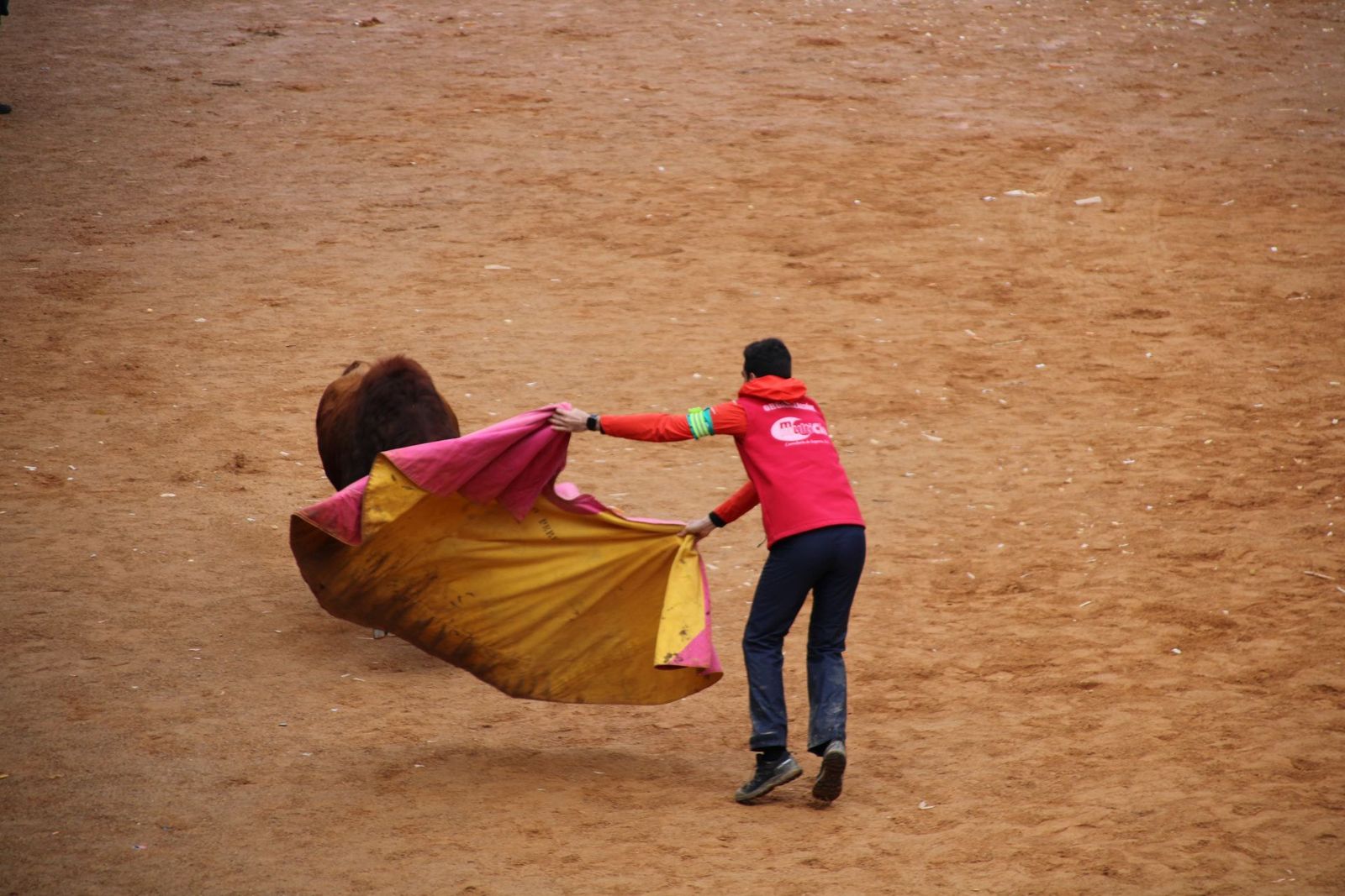 encierro-urbano-martes-de-carnaval-ciudad-rodrigo-2025-17