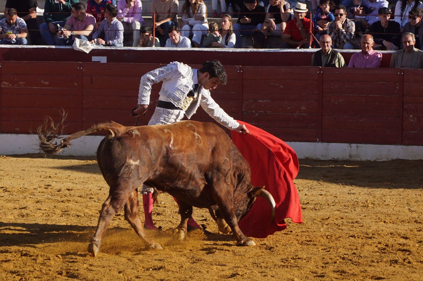 novillada-con-picadores-en-villoria-74