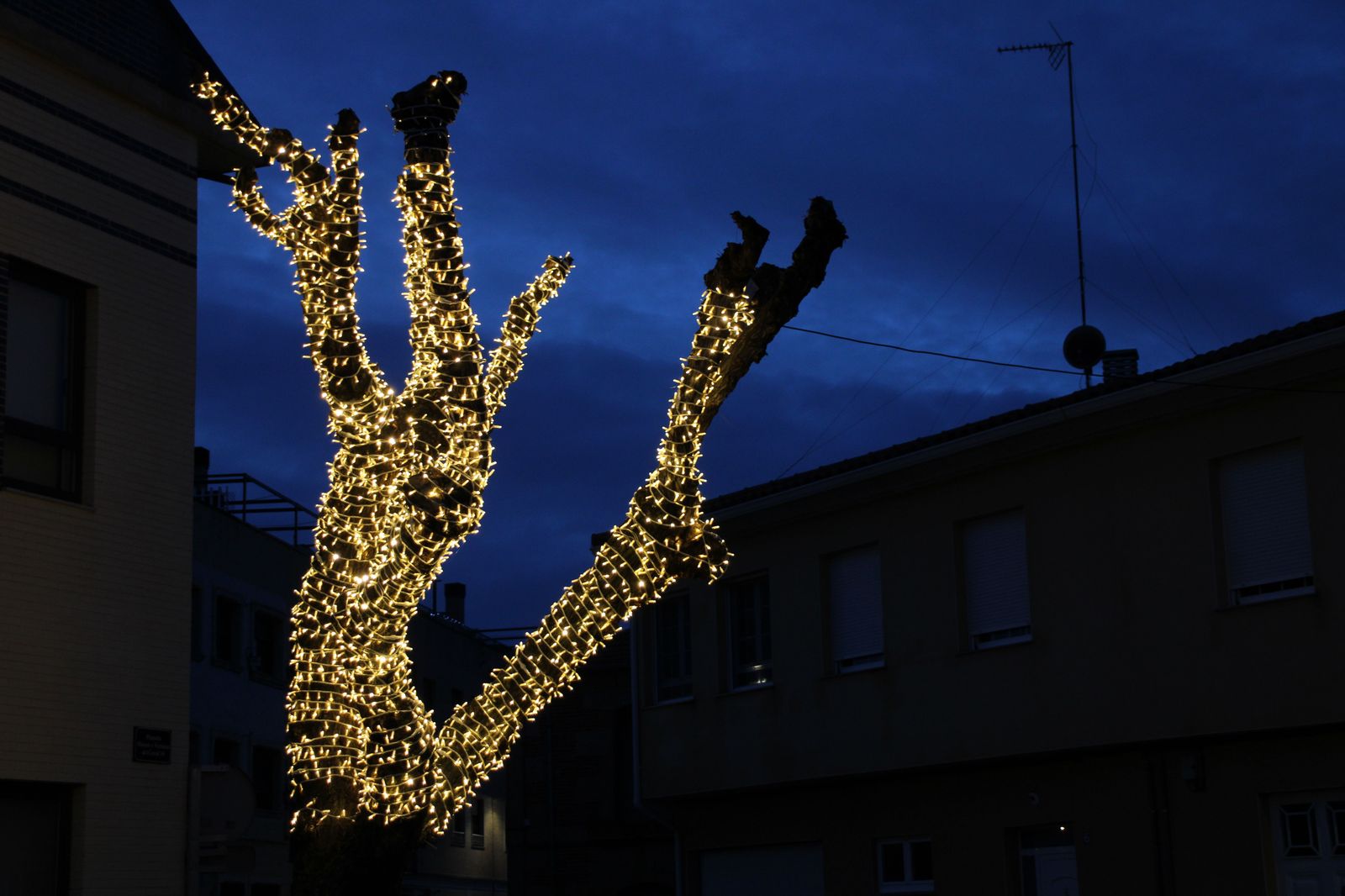 iluminacion-y-decoracion-navidena-en-castellanos-de-moriscos-3