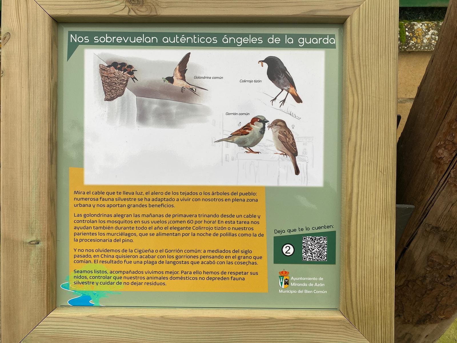 GALERÍA | Presentación de la nueva ruta en Miranda de Azán