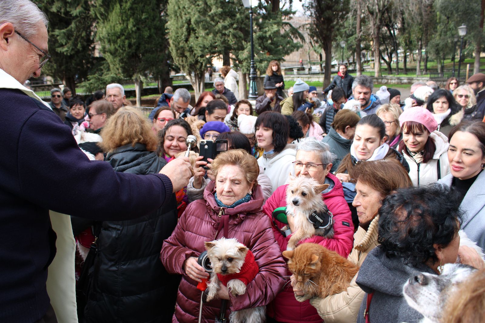 san-anton-bendicion-de-animales-2024-foto-s24h-67