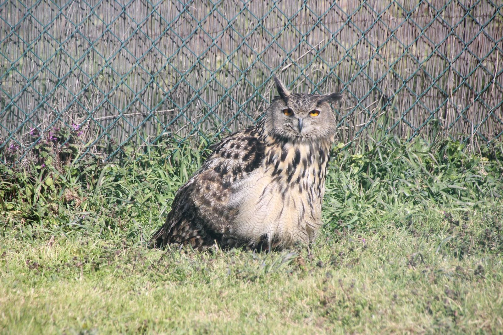 20230304152913-img-1689