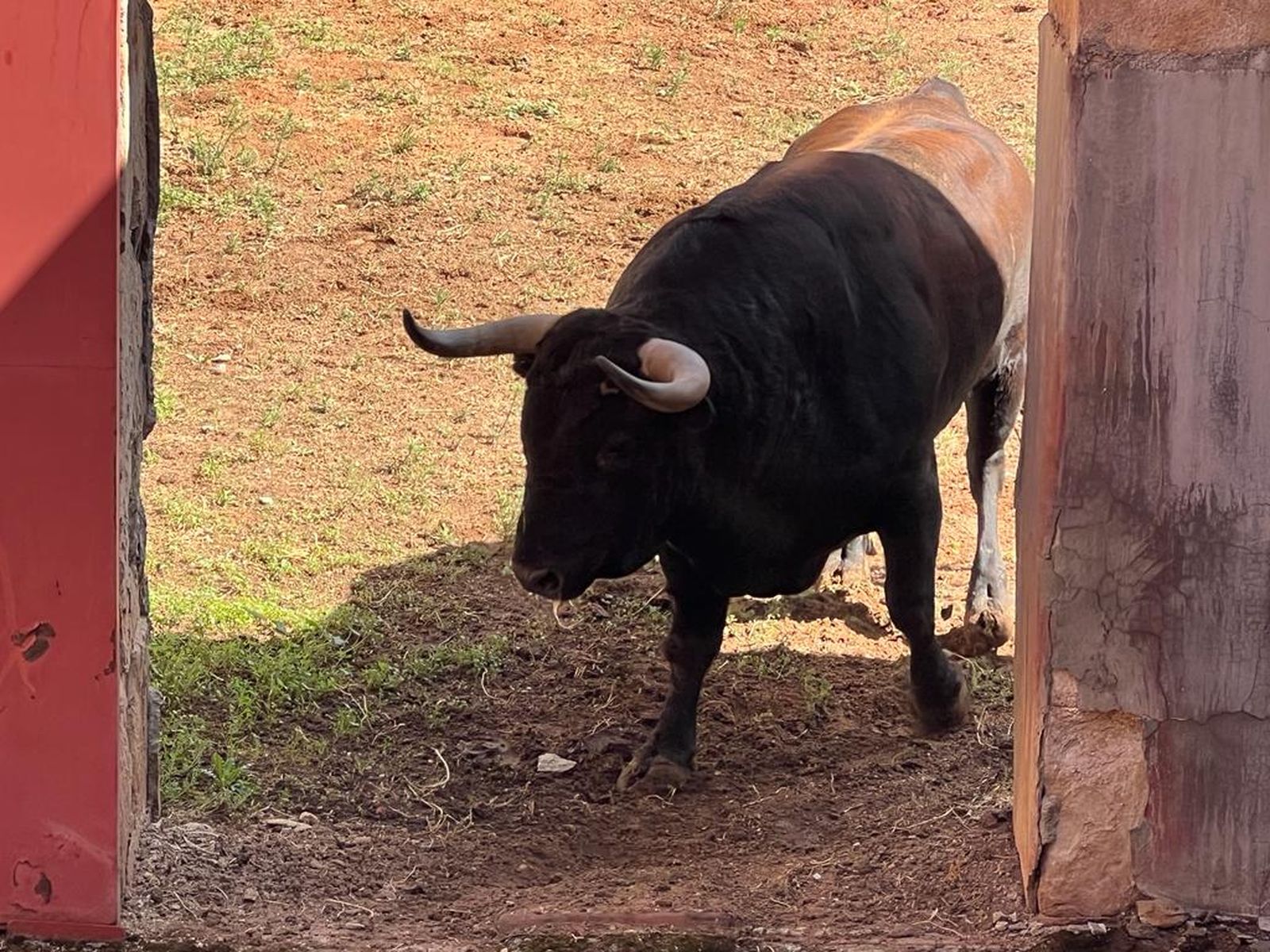 whatsapp-image-2023-09-17-at-12-52-05