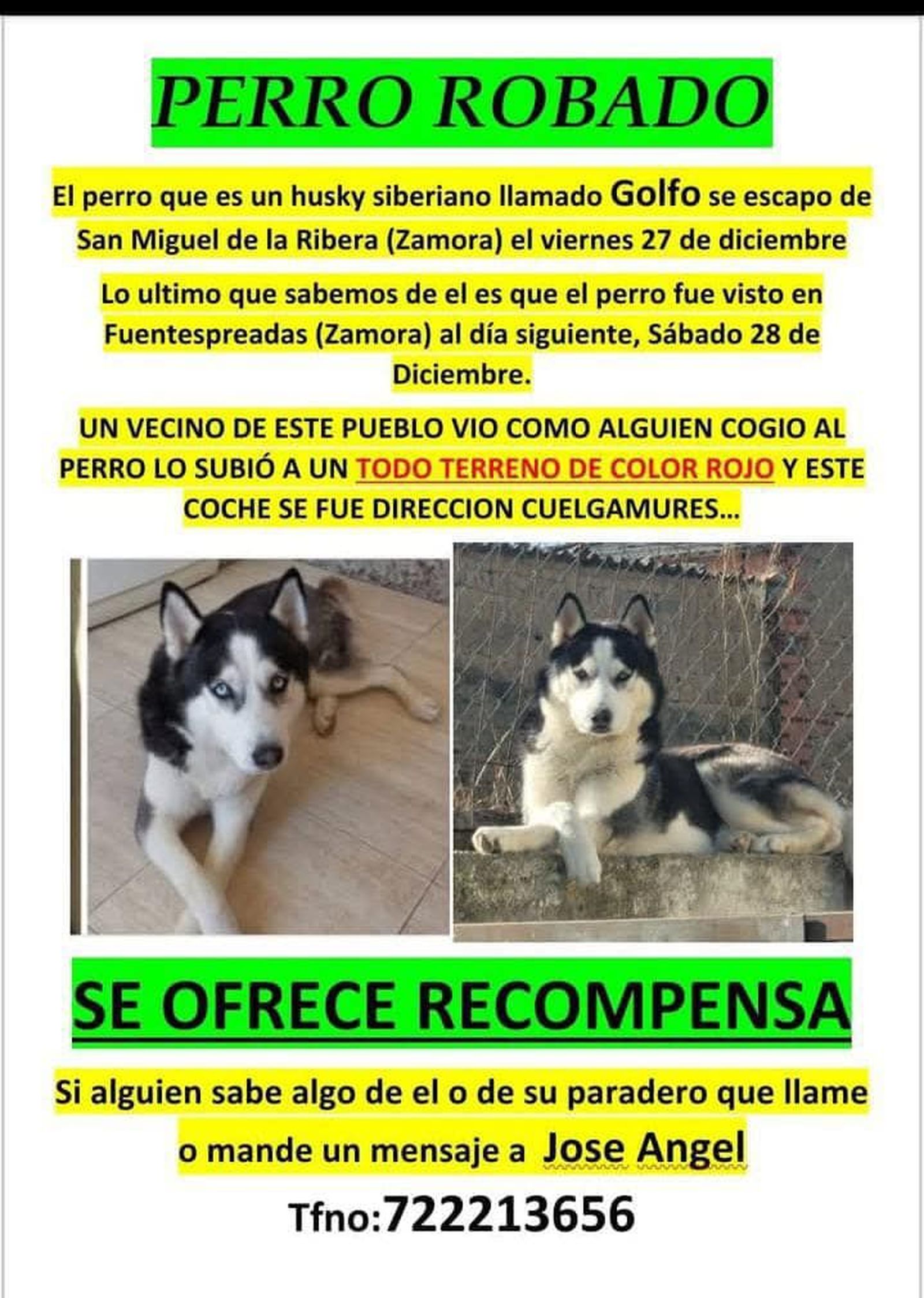 Piden colaboración para encontrar a Golfo, un husky siberiano robado por un todoterreno rojo en Fuentespreada